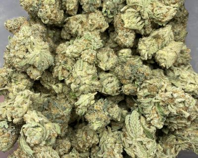 FROSTED FRUIT CAKE SMALLS (MEGA STEAL) (SKULLS CUT) - Image 3